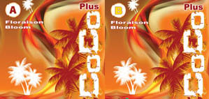 Nutri-Plus Coco Plus Bloom