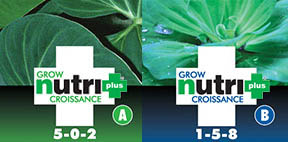 nutri-plus grow a b
