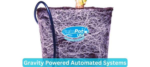 autopot