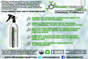 Organic Rescue Mist Original Formula
