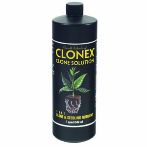 clonex clone solution 1 quart