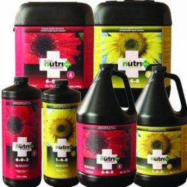 Nutri Plus Bloom