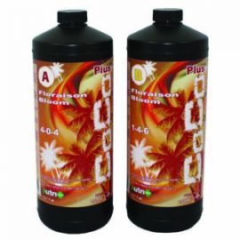 Nutri-Plus Coco Plus Bloom 1 L