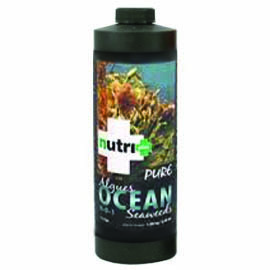 pure ocean seaweed 1 liter