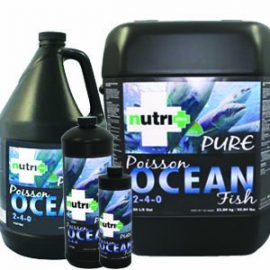 nutri-plus pure ocean fish