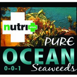 Nutri-Plus Pure Ocean Seaweed 4 liters