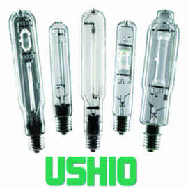 Ushio Bulbs