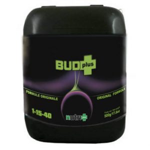 Bud Plus 20 Liters