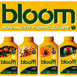 Bloom Yellow Bottle