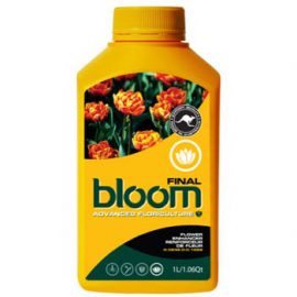 Bloom Final Yellow Bottles