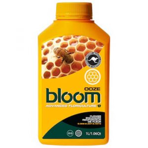 Bloom Ooze Yellow Bottles