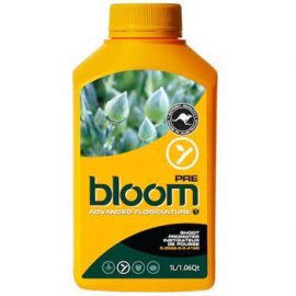 Bloom Pre Yellow Bottles
