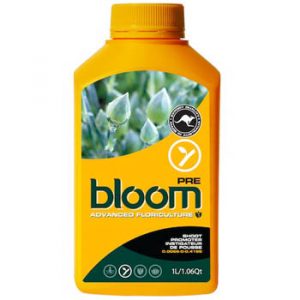 Bloom Pre 2.5 liters