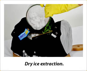 Frost Bag Dry Ice Extraction