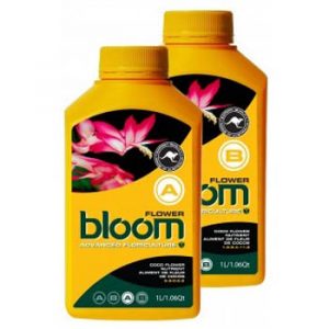 bloom flower a yellow bottles