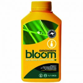 Bloom Groigen Yellow Bottles