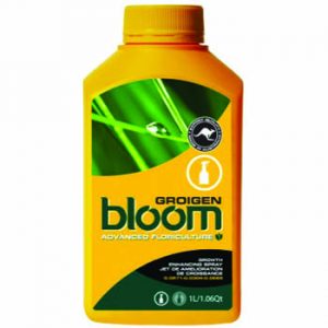 Bloom Groigen Yellow Bottles