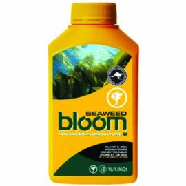 Bloom Seaweed