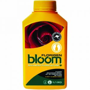 bloom florigen 2.5 liters