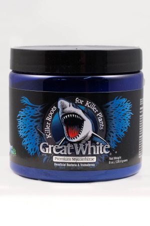 great white 8 oz