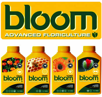 Bloom Category