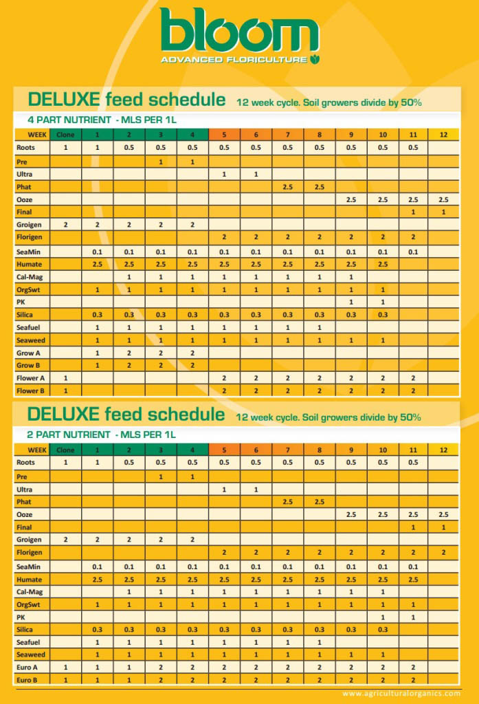 Bloom-Yellow-Bottle-Feeding-Schedule-Chart