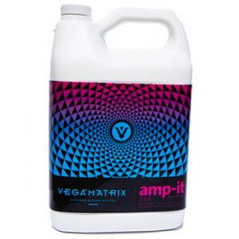 vegamatrix amp it micros