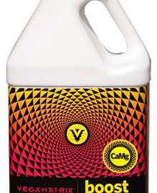 vegamatrix boost 1 quart