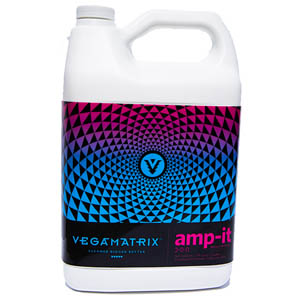 vegamatrix amp it