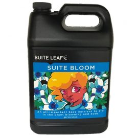 suite bloom gallon