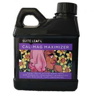 cal mag maximizer 250 ml