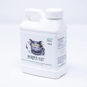 key grow solutions purple cat