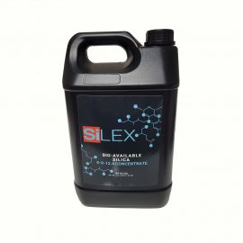 Silex Silica