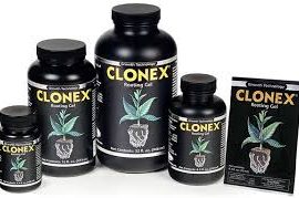 Clonex