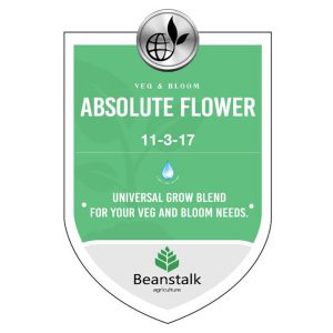 beanstalk absolute flower