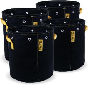 budpots 5 gallon