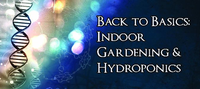 back to basics hydroponics